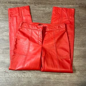 Danier Genuine Leather Pants!